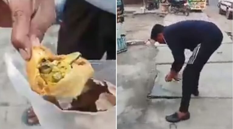 dead lizard in samosa hapur -पिता और बेटी ने खाया छिपकली वाला समोसा